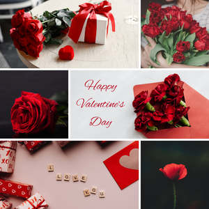 Valentine’s Day Gift Guide: Sparkle & Love from Devon’s Diamonds & Decor